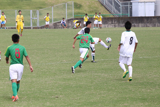 20140907_26.jpg